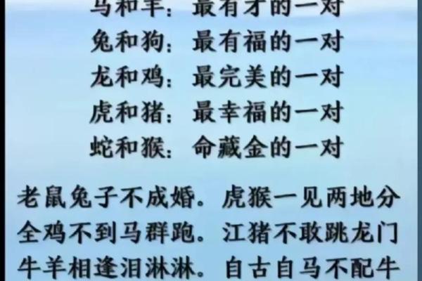 十二生肖配对歌看看你和TA的缘分有多好