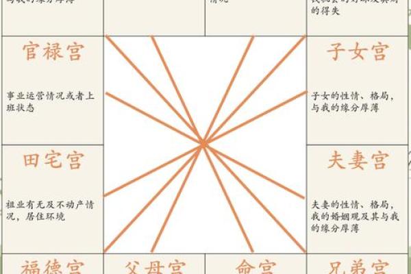 紫微斗数财运,紫微斗数财富分析