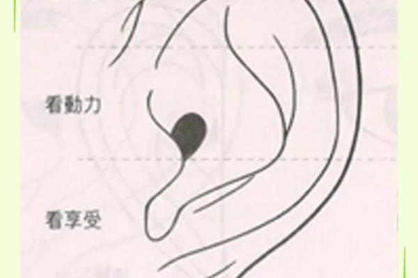 耳相算命图解，如何从耳相看人的命运