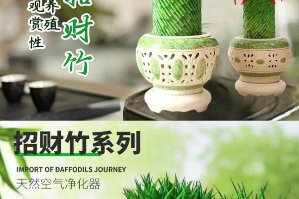 怎样养出富贵吉祥的好风水