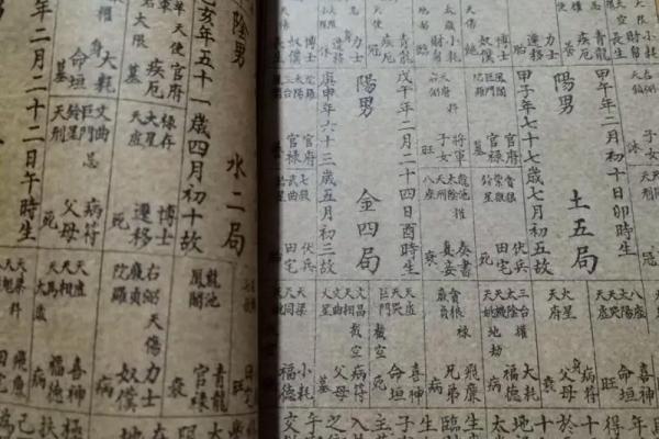 紫微斗数弱智 紫微斗数看智力？