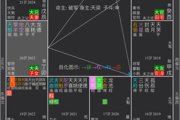 紫薇斗数看驾照