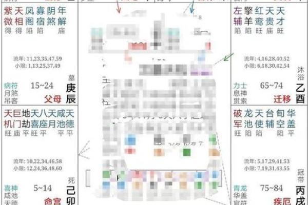 破紫薇斗数排盘