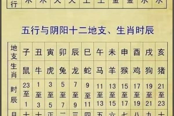 最佳的十二生肖婚姻配对大全