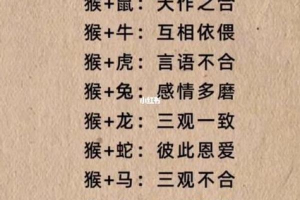 婚姻属相配对查询属马 哪些属相与属马最相配