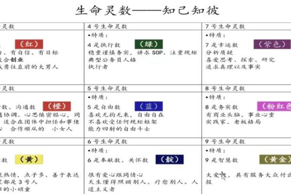 生命灵数5和几配对