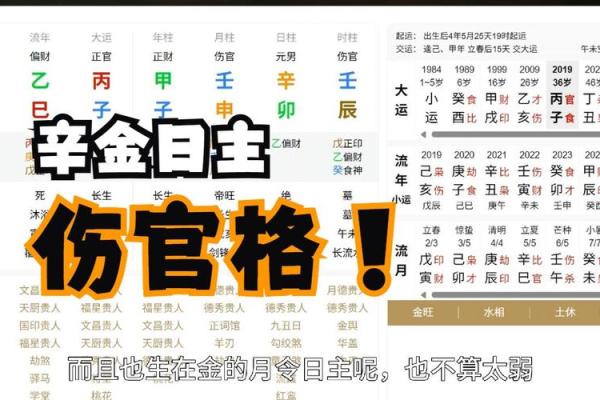 注定要高学历的八字是什么样的