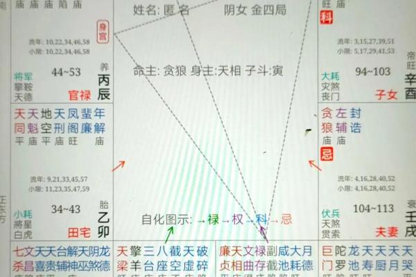 紫薇斗数文曲属性