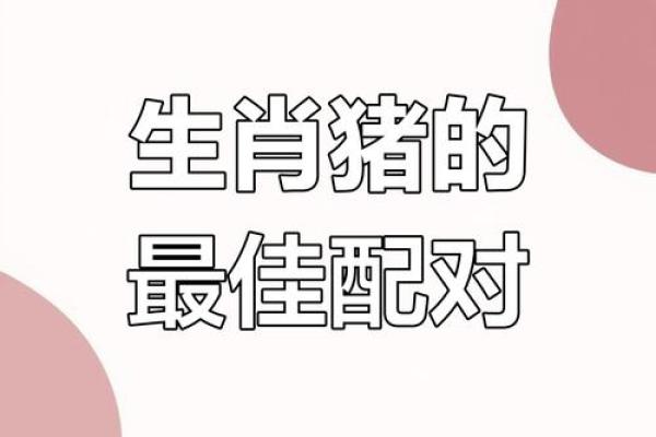猪的生肖配对