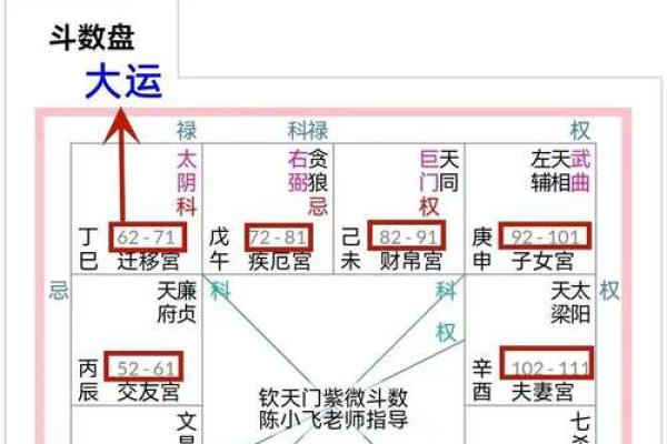 倪海厦紫薇斗数案例10