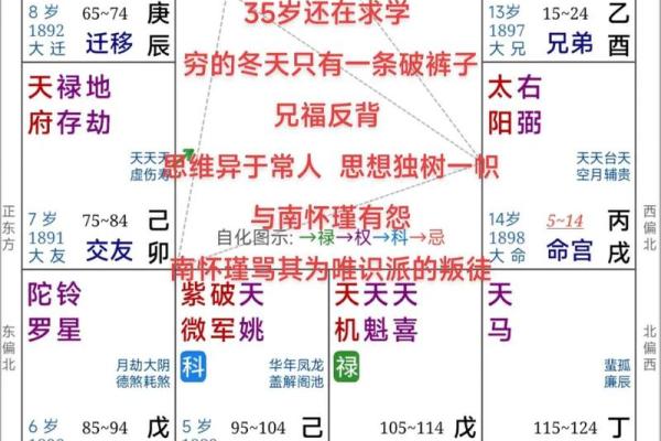 倪海厦紫薇斗数案例10