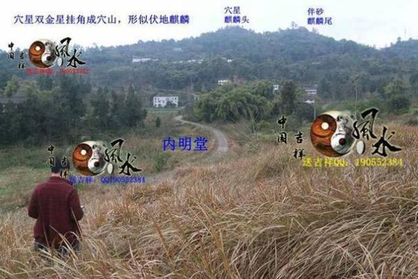 如何看墓地风水宝地