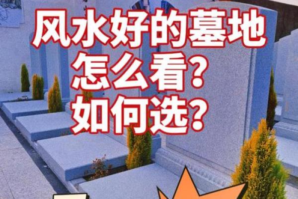 如何看墓地风水宝地