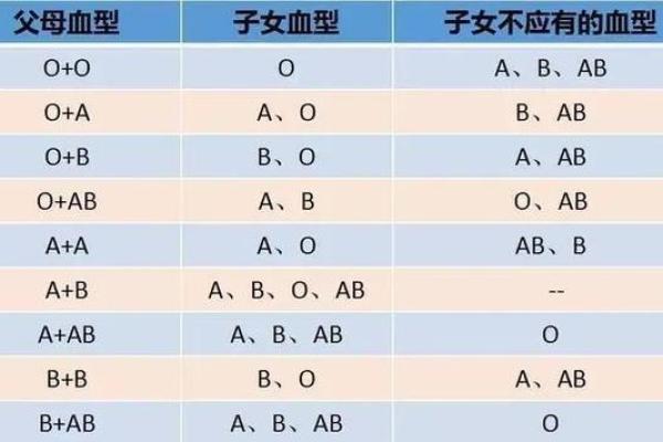 属鼠B血型的人性格与事业姻缘 属鼠B血型的人性格与事业姻缘