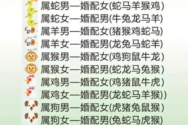 生肖鸡男配对姻缘 属鸡男生肖配对？