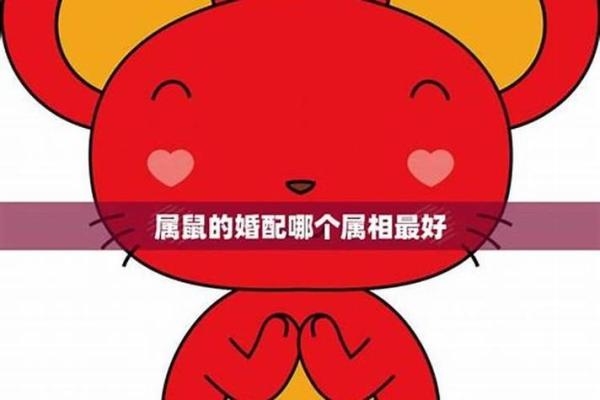 鼠和什么属相配对幸福