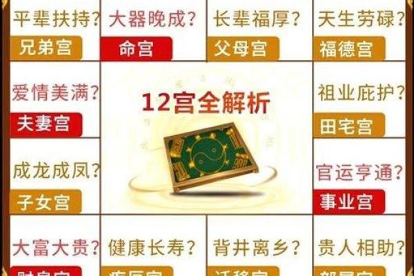 紫薇斗数举门宫