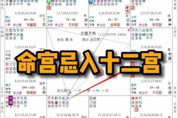 紫薇斗数举门宫