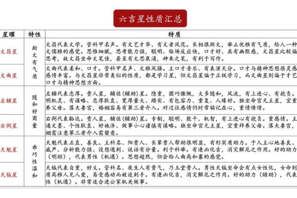 飞星紫微斗数原旨（斗数观测录）