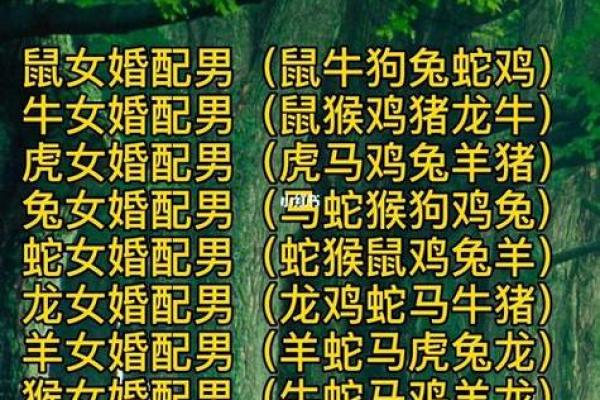 12生肖婚姻配对宜忌
