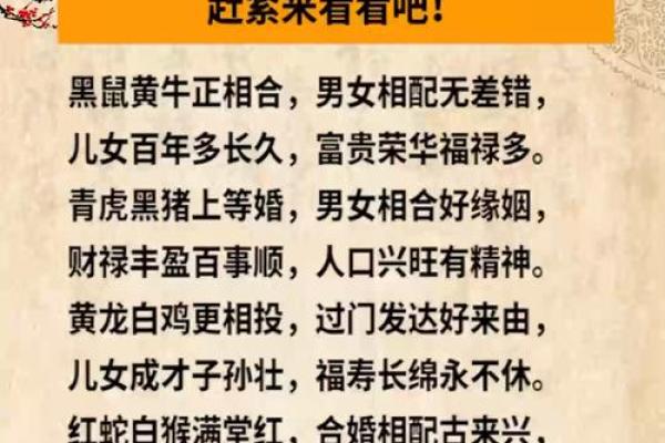 12生肖婚姻配对宜忌