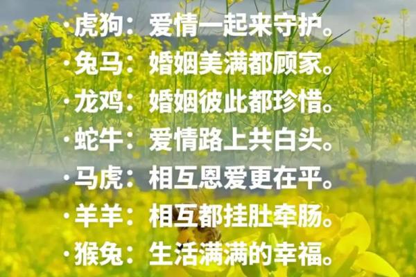 1999年属什么生肖配对