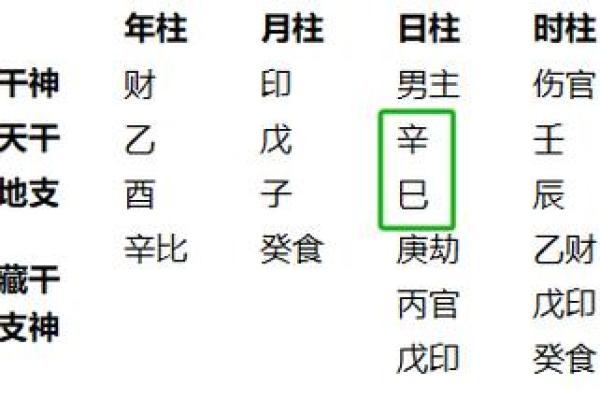 辛巳年生的最好八字命局  辛巳日出生月份看富贵