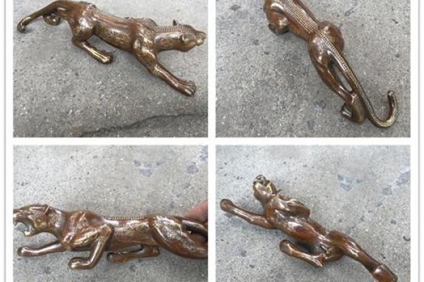 豹风水