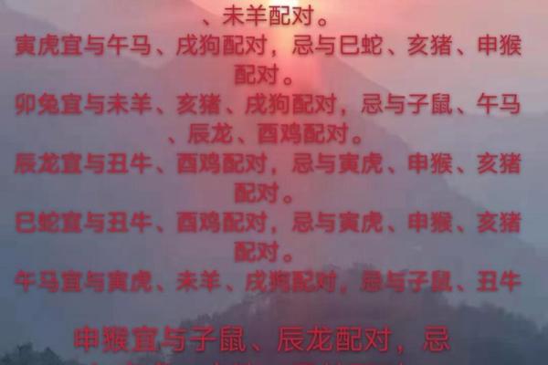 最准的12生肖配对表