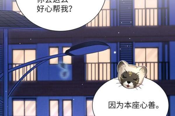 民间的大仙儿算命