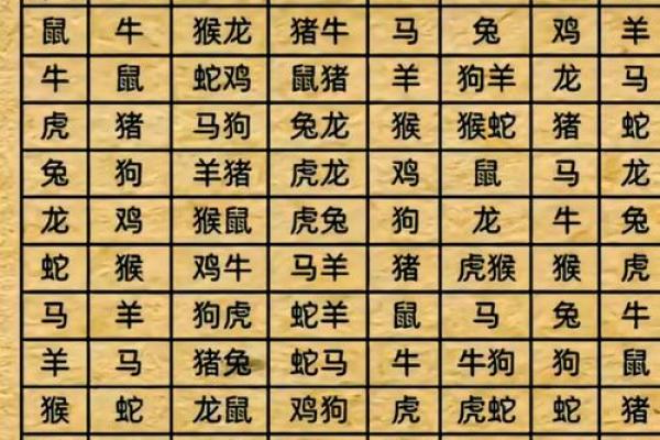 属鼠和什么属相最配对 属鼠和什么属相相冲