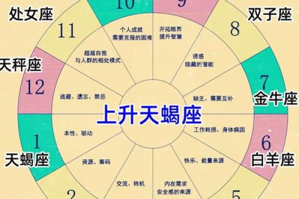 双子和天蝎座配对指数