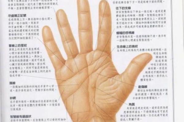 女人手相算命图解