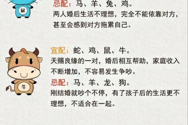 属鸡的女人和什么属相最配对 属鸡的女人和什么属相最配婚姻