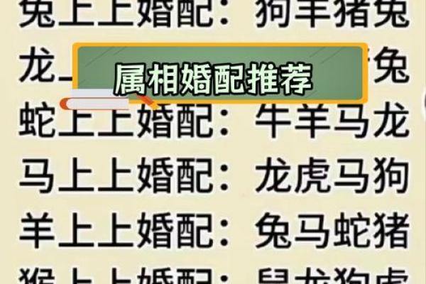 1975年属什么生肖，最佳配对属相是什么