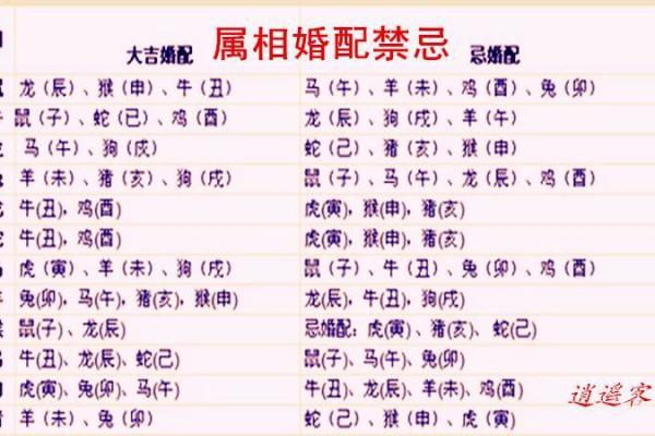 1975年属什么生肖，最佳配对属相是什么