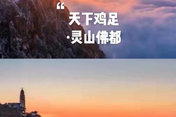 签灵鸡足第二签上吉