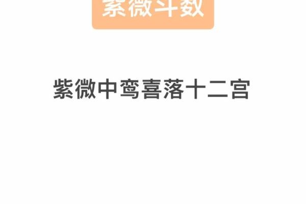 注定紫薇斗数吧