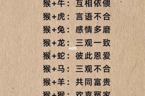 69年属什么生肖配对