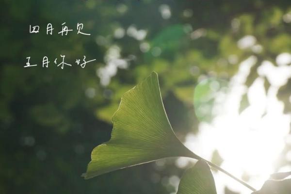 白事看日子 逐月安葬吉日大全