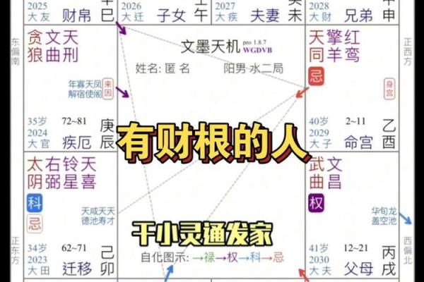 紫薇斗数看自己财