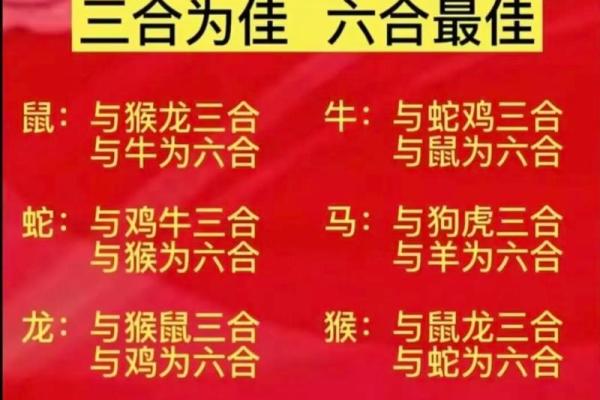 属相配对表