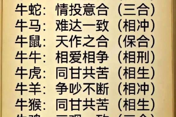1997年属什么生肖配对