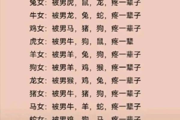 生肖配对表 兔和猪适合在一起吗