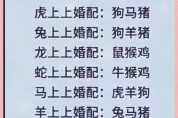 十二生肖婚配大全表 12生肖婚姻最佳配对表图片
