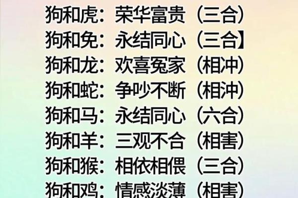 十二生肖婚配大全表 12生肖婚姻最佳配对表图片
