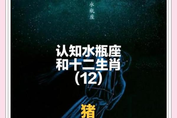 属猪出生最好六个吉日 属猪的出生吉日