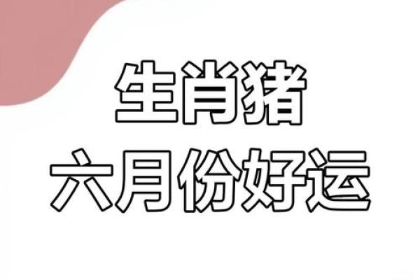 属猪出生最好六个吉日 属猪的出生吉日