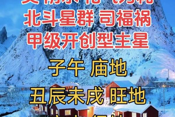 紫微斗数财帛宫破军入庙 财帛宫 破军？