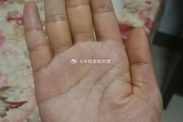 川字掌算命分析